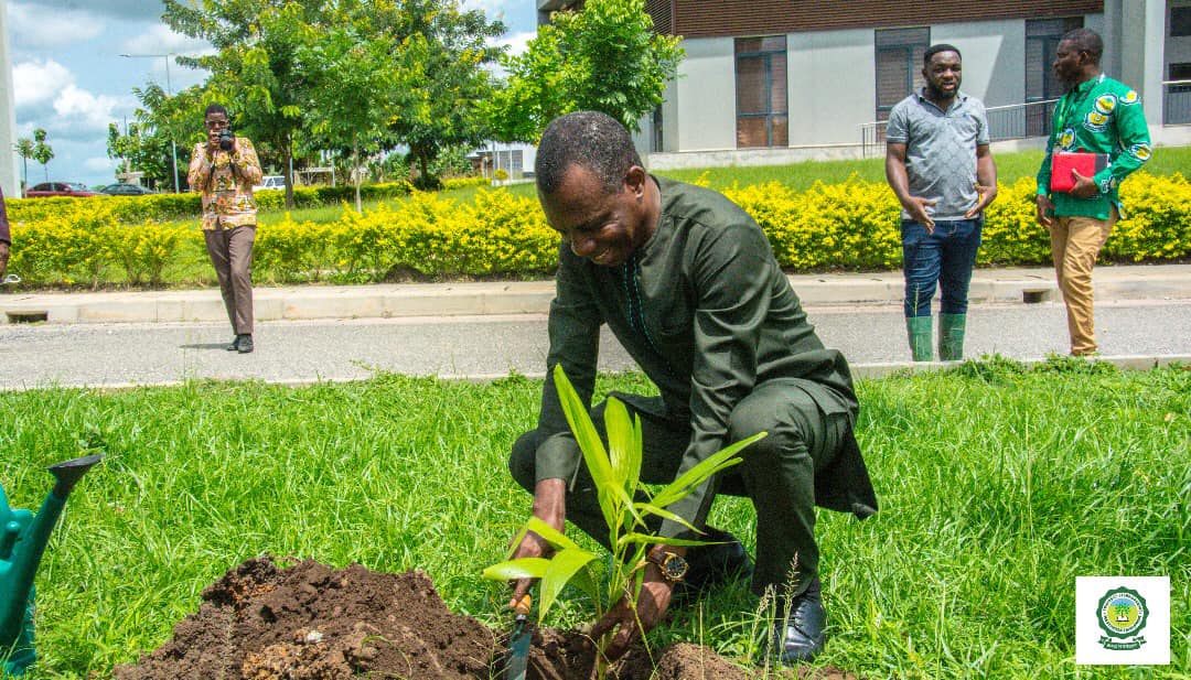 UESD Observes World Environment Day and Green Ghana Day – University of ...