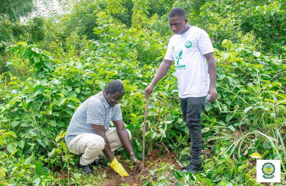 UESD Observes World Environment Day and Green Ghana Day – University of ...