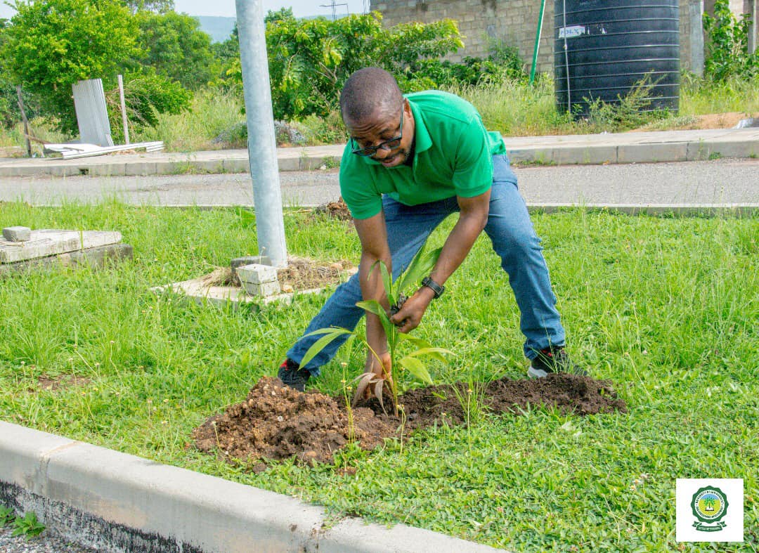 UESD Observes World Environment Day and Green Ghana Day – University of ...